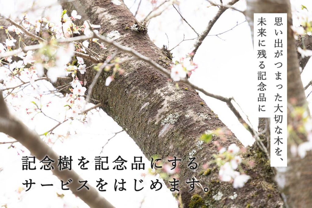 tree timeless 記念樹記念品 ツバキラボ