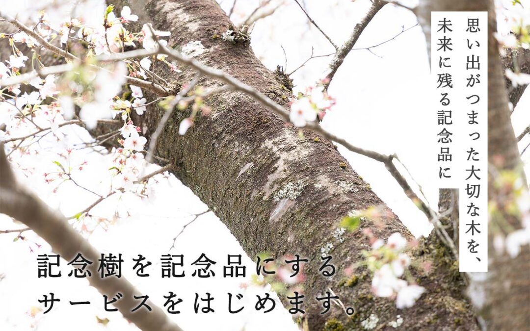 tree timeless 記念樹記念品 ツバキラボ
