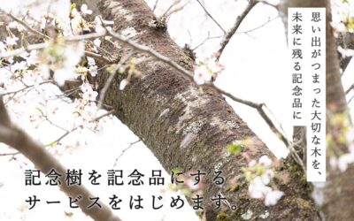 大切な木から記念品製作サービス「tree timeless」を提供開始のお知らせ